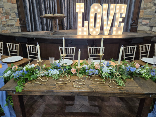 Parisian Blue Wedding